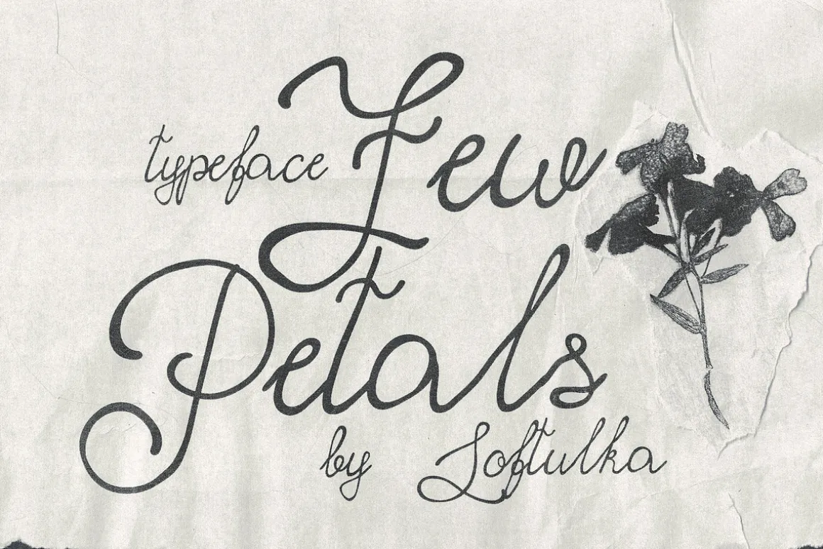 Few Petals. Dreamy Script Typeface