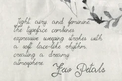 Few Petals. Dreamy Script Typeface