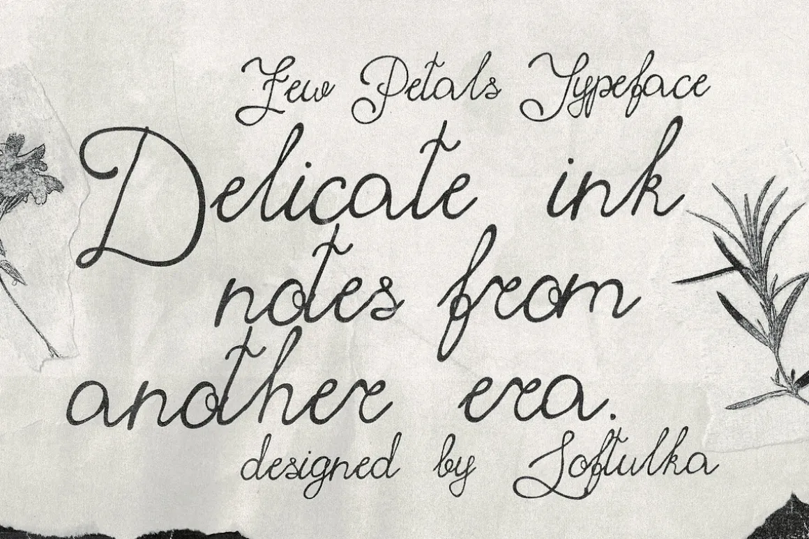 Few Petals. Dreamy Script Typeface