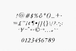 fffffff Pixel Serif Font