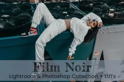 Film Noir Lightroom Photoshop LUTs