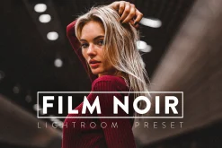 10 FILM NOIR Pro Lightroom Preset