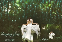 Firefly photoshop overlays