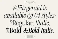 Fitzgerald - Classic Retro Serif
