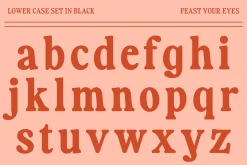 Fiyona Retro Variable Font