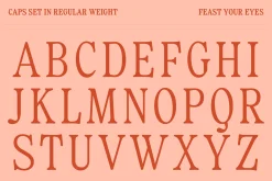 Fiyona Retro Variable Font