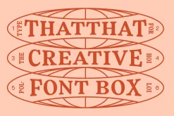 Fiyona Retro Variable Font