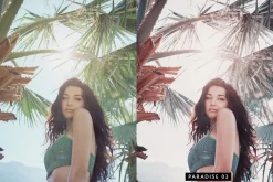 20 Flamingo Lightroom Presets & LUTs