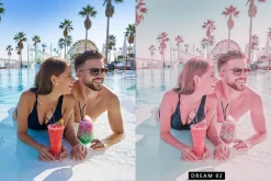 20 Flamingo Lightroom Presets & LUTs