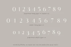 Flatline Sans Complete - 16 fonts