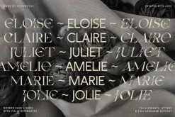 Fleur Display - Sans/Serif Font Duo