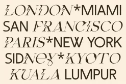 Fleur Display - Sans/Serif Font Duo