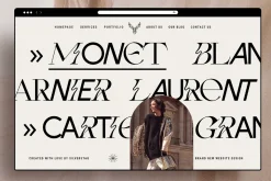 Fleur Display - Sans/Serif Font Duo