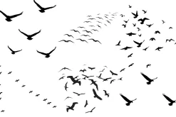 Flock of Birds Overlay AI EPS PNG