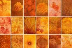 FloraAmber · Botanical Backgrounds