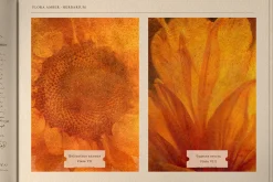 FloraAmber · Botanical Backgrounds