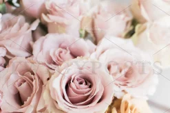Floral Farmhouse Stock Photos