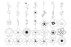 Floral Flower Set 10 Procreate Brush