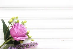 Floral styled stock floral pack
