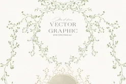 Floral Vector Clipart PNG Graphic