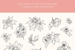 Floral Vector Illustrations