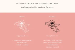 Floral Vector Illustrations