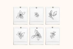 Floral Vector Illustrations