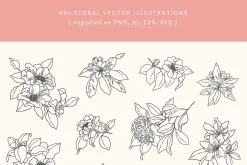 Floral Vector Illustrations