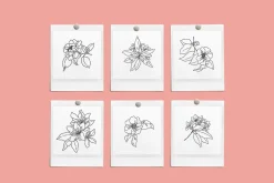 Floral Vector Illustrations