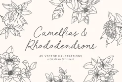 Floral Vector Illustrations