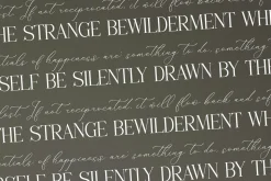 Florens Font Duo