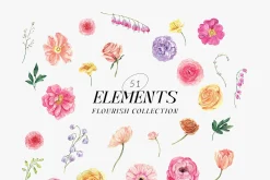 FLOURISH Vivid Watercolor Flowers