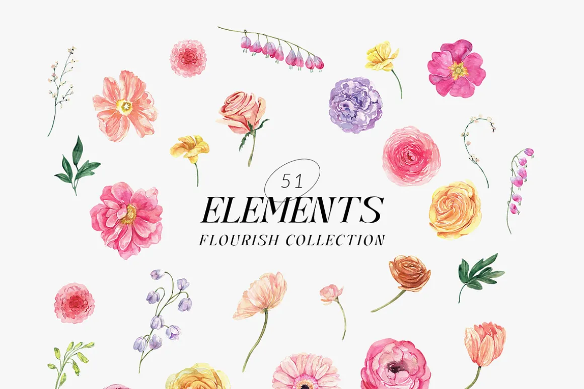 FLOURISH Vivid Watercolor Flowers