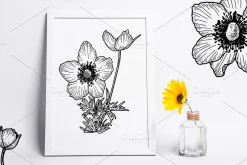 Flower anemone crown sketch