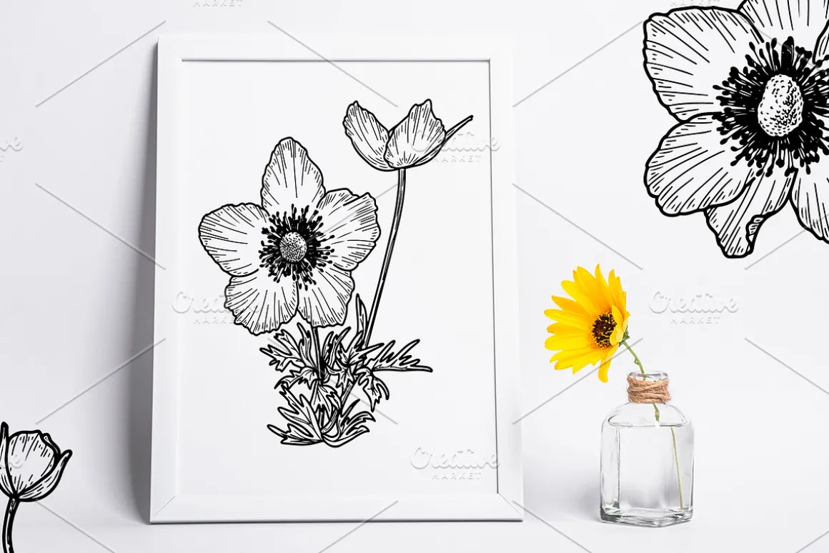 Flower anemone crown sketch