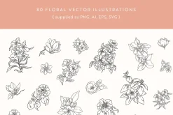 Flower Garden Vector Illustrations