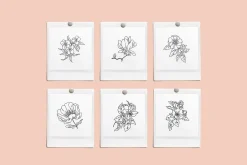 Flower Garden Vector Illustrations