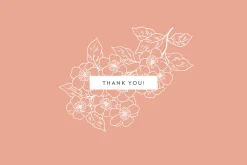 Flower Garden Vector Illustrations
