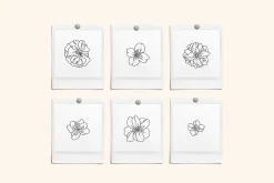 Flower Garden Vector Illustrations