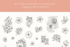 Flower Garden Vector Illustrations