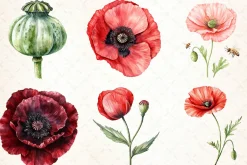 Flowers Clipart Poppy Flowers