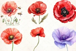 Flowers Clipart Poppy Flowers