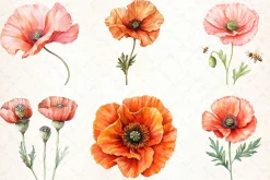 Flowers Clipart Poppy Flowers