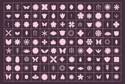 Flower Stamp Brushes for Procreate