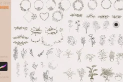 Flower Stamp Full Pack Plant Floral
