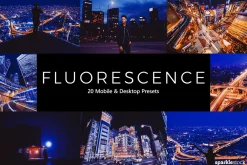 20 Fluorescence LR Presets