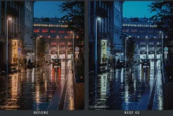20 Fluorescence LR Presets