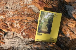 Flyer/Postcard Tropical Mockups