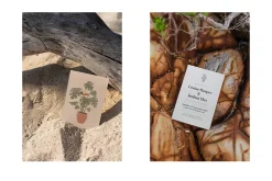 Flyer/Postcard Tropical Mockups