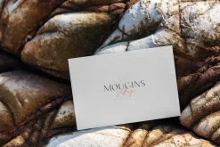 Flyer/Postcard Tropical Mockups